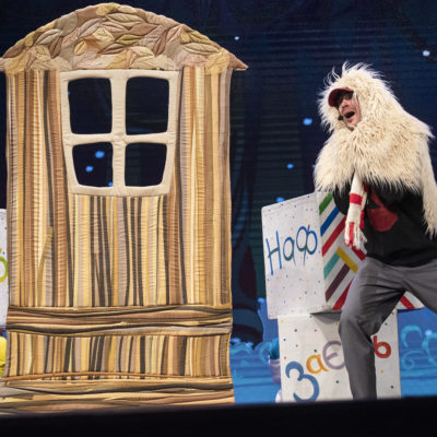 Show Поросят